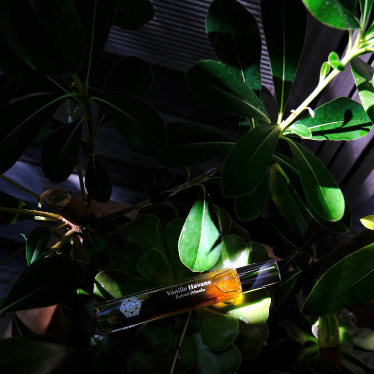 VANILLE HAVANE - 10 ml Extrait Absolu perfume illuminated bottle - Les Indémodables